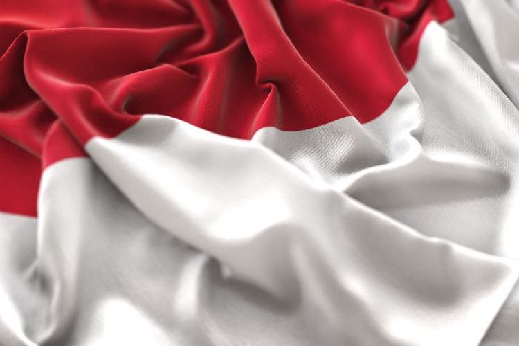 7 Link Twibbon Peringatan Hari Bela Negara pada 19 Desember 2022, Dilengkapi Cara Membuat dan Sejarahnya