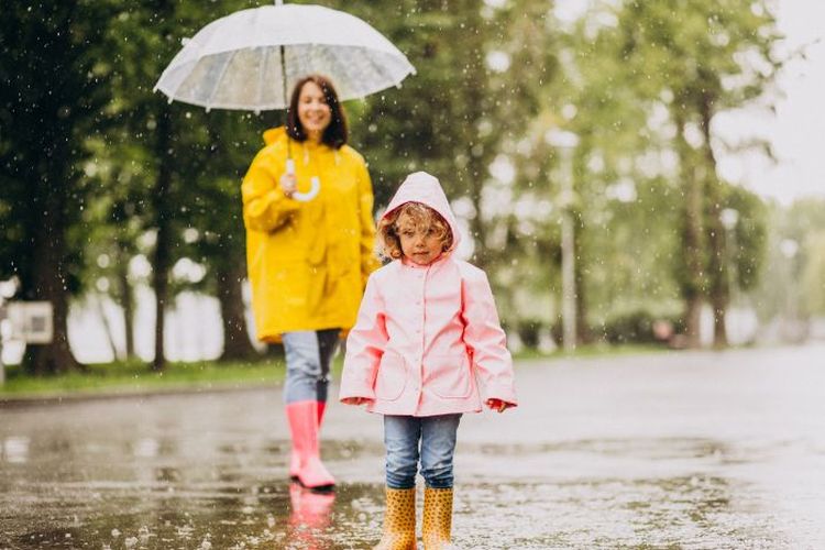 Prakiraan Cuaca Pekanbaru Riau, Rabu 21 Desember2022, BMKG: Cuaca Berawan Hingga Hujan Ringan