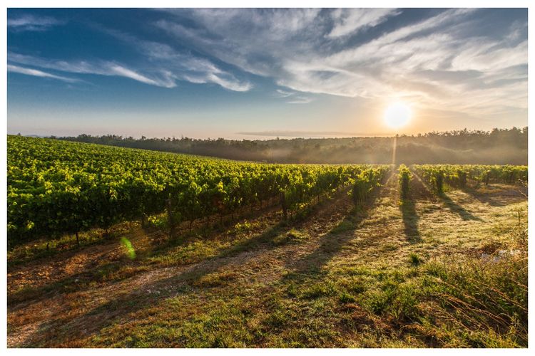 Prakiraan Cuaca Jakarta Hari Ini versi BMKG, 17 Desember 2022: Persiapkan Payung karena Berpotensi Hujan Petir