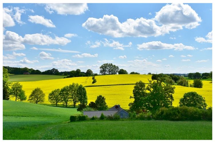 Prakiraan Cuaca Jakarta Hari Ini versi BMKG, 14 Desember 2022: Siap-siap Menghadapi Hujan Petir