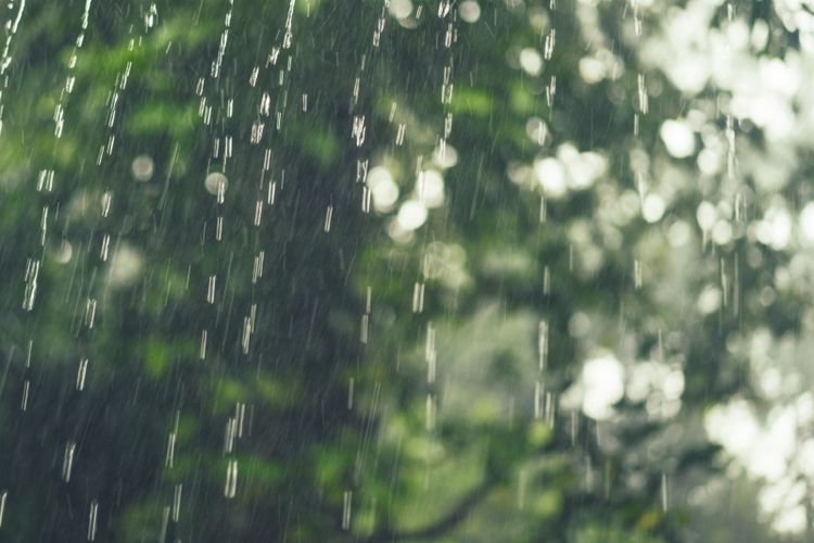 Prakiraan Cuaca Surabaya Hari Ini, Senin 19 Desember 2022 BMKG: Hujan Terjadi Mulai Sore hingga Malam Hari