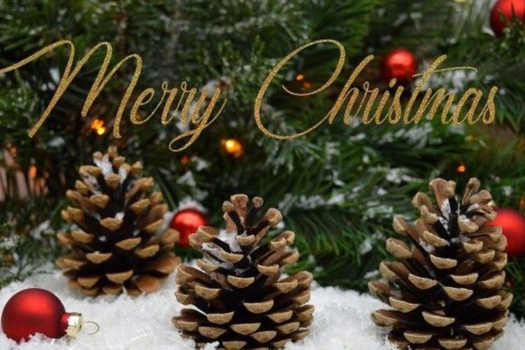 Kumpulan Ucapan Selamat Natal 2022 dalam Bahasa Inggris, Cocok Diberikan Kepada Rekan Kerja dan Pasangan