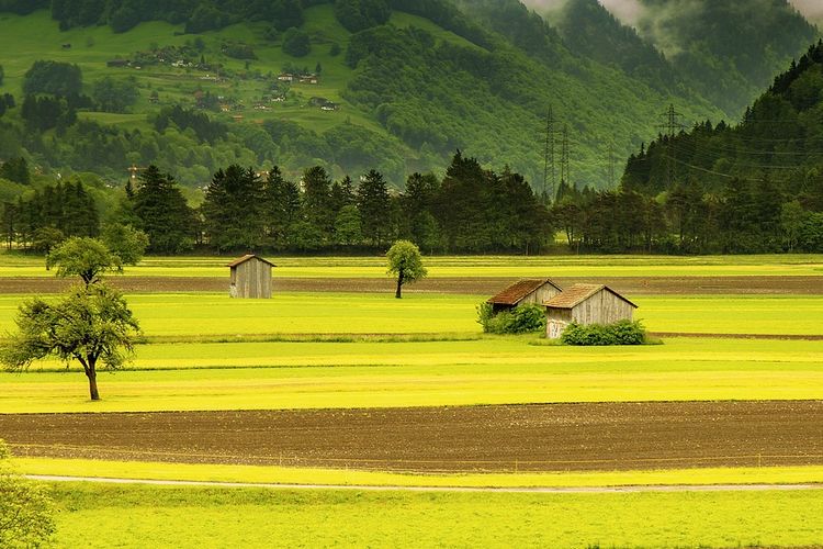 Mengulas Sejarah Singkat Hari Bhakti Transmigrasi 12 Desember 2022 yang Ke-72 Tahun