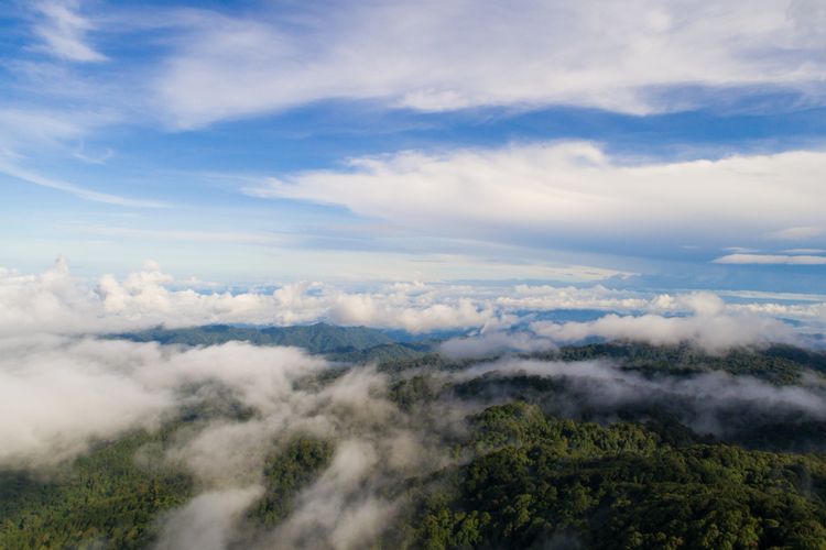 Informasi Prakiraan Cuaca Surabaya Hari Ini, Selasa 13 Desember 2022: Cerah Berawan Seharian