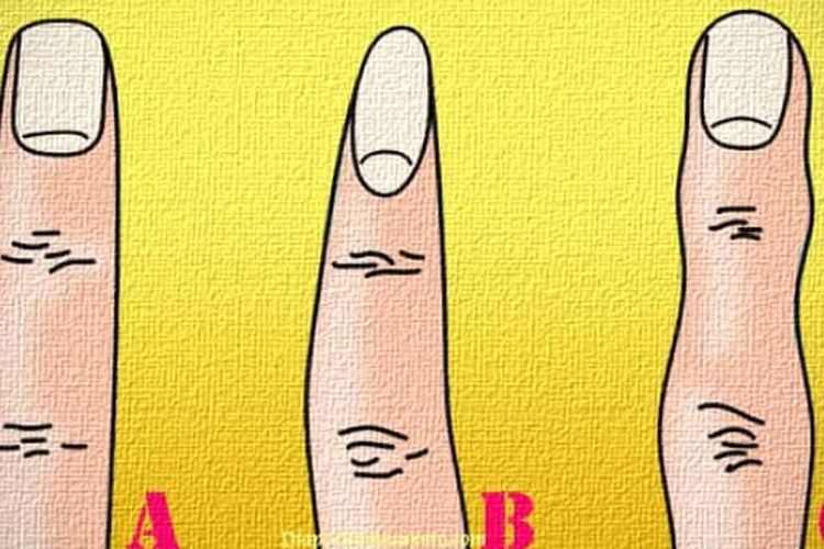 Tes Kepribadian Apa yang Diungkapkan Oleh Bentuk Jari Anda Tentang Diri Anda?