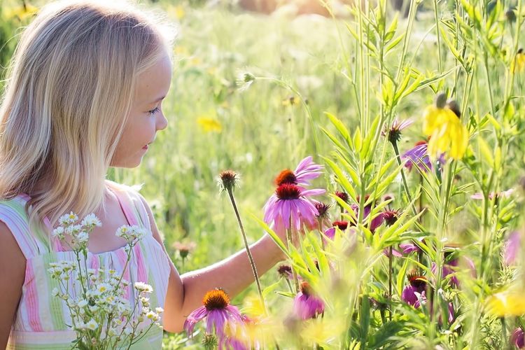 Prakiraan Cuaca Pekanbaru Riau Hari Ini, Sabtu 17 Desember 2022 BMKG: Siang Hari Diperkirakan Cerah Berawan