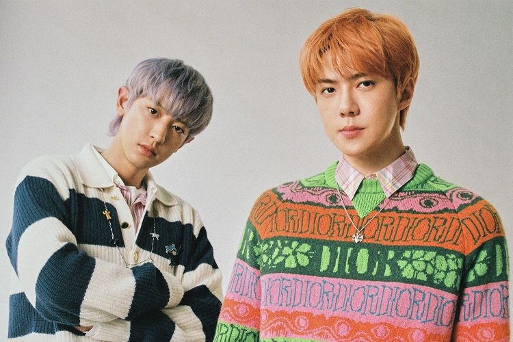 Link Pembelian Tiket Fancon EXO-SC di Jakarta 2023, Dilengkapi Daftar Harga Tiketnya, EXO-L Wajib Tahu