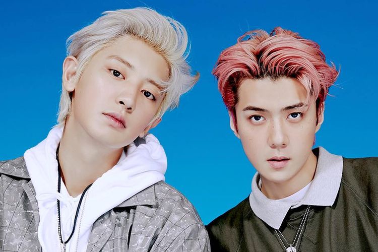 Harga Tiket Konser EXO-SC BACK TO BACK FANCON di Jakarta 2023, Lengkap dengan Cara Beli dan Jadwal Pembelian