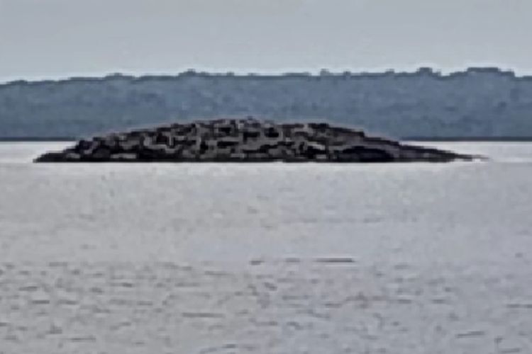 Heboh! Pulau Baru Tiba-Tiba Muncul Usai Gempa Maluku, Warga Sekitar Panik