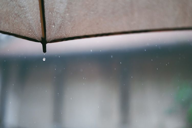 Prakiraan Cuaca Samarinda Hari Ini, Senin 16 Januari 2023 BMKG: Hujan Ringan Sepanjang Malam