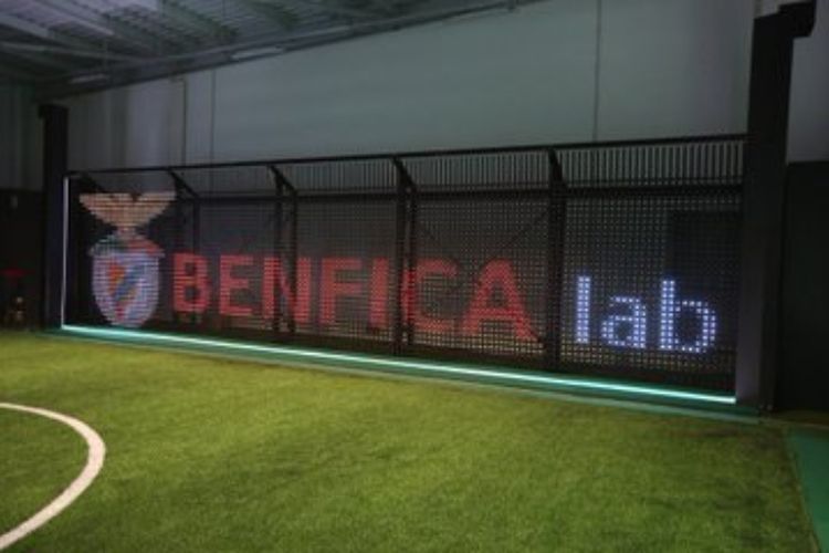 5 Jebolan Akademi Benfica Ini Jadi Pemain Bintang, Joao Felix Salah Satunya