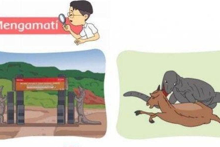 Kunci Jawaban Kelas 2 SD MI Tema 5 Halaman 188 189 190 191 192 Subtema 4 Pembelajaran 3: Wisata Pulau Komodo