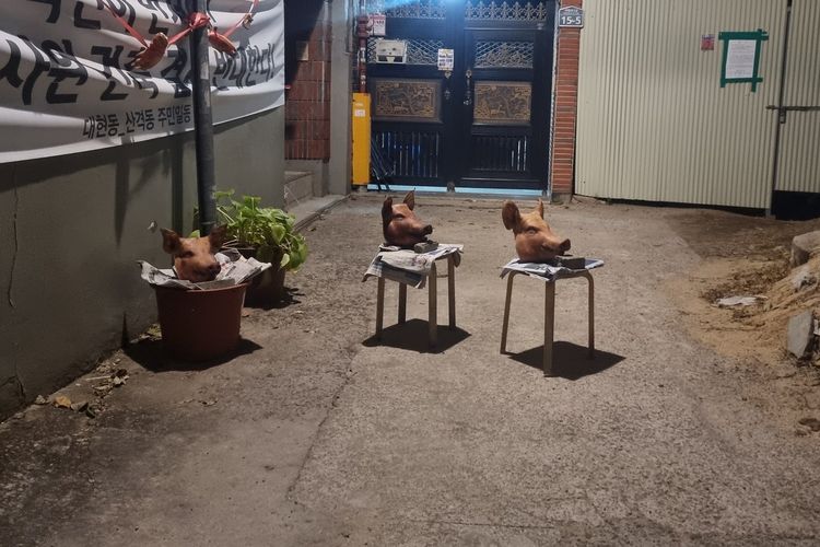 Bukan Hanya Kepala Babi, Ternyata Warga Daegu, Korea Selatan Lakukan Ini untuk Menolak Pembangunan Masjid