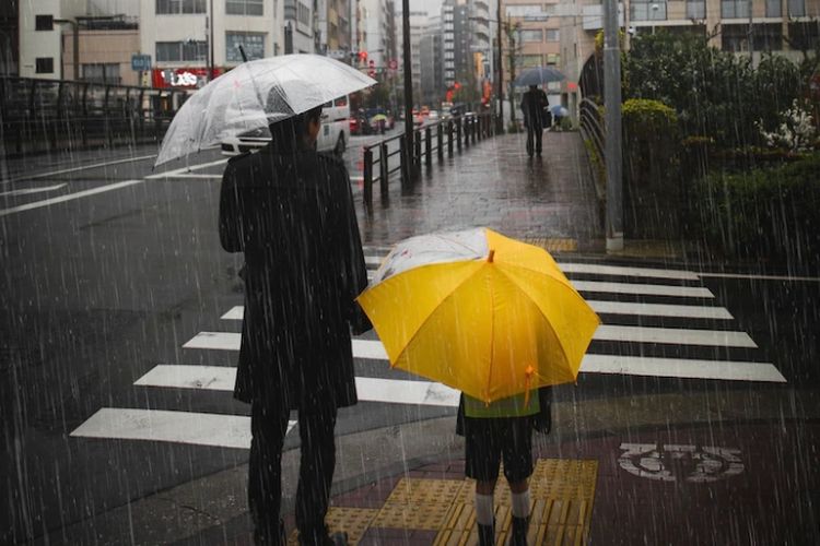 Prakiraan Cuaca Kota Jambi Hari Ini Senin 16 Januari 2023: Hujan Ringan Pada Pagi Hingga Sore Hari