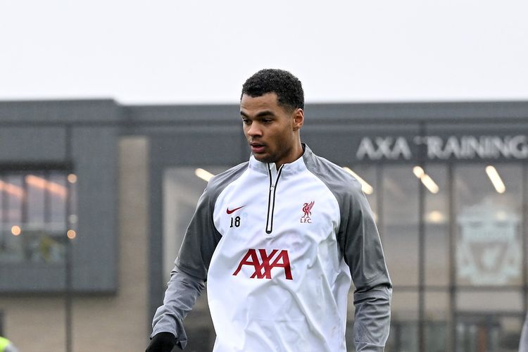 Prediksi Brighton vs Liverpool di Piala FA 2022: Cody Gakpo Siap Cetak Gol Perdana untuk The Reds