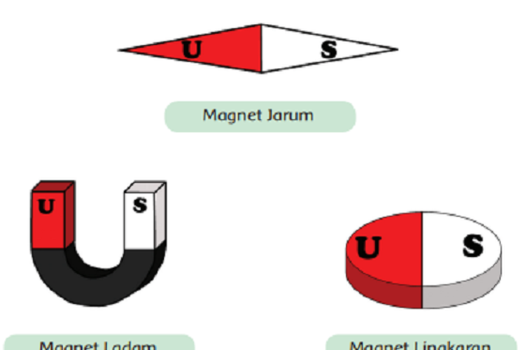 Kunci Jawaban Buku Tematik Tema 5 Kelas 6 SD Subtema 1 Pembelajaran 1 untuk Halaman 8