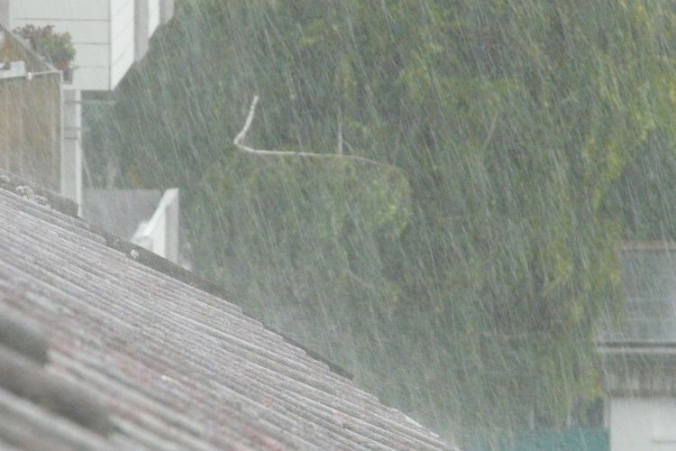 Data Terbaru! Prakiraan Cuaca Jambi Selasa 14 Februari 2023: BMKG Hujan Dari Siang Hingga Malam