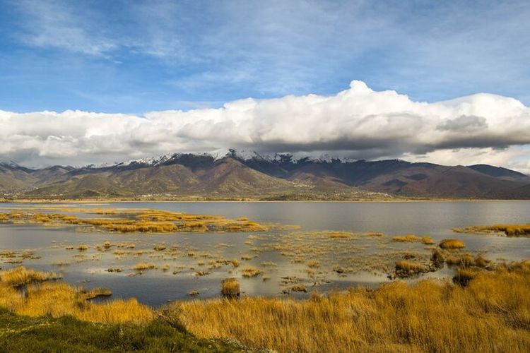 2 Februari 2023 Hari Lahan Basah Sedunia, Peringatan Tahun Ini Angkat Tema Soal Apa? Cek Selengkapnya di Sini!