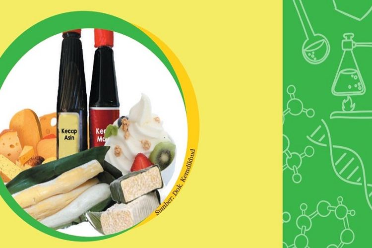 Kunci Jawaban IPA Kelas 9 SMP Semester 2 Uji Kompetensi Bab 7 Halaman 92 93 Bagian Soal Esai: Bioteknologi