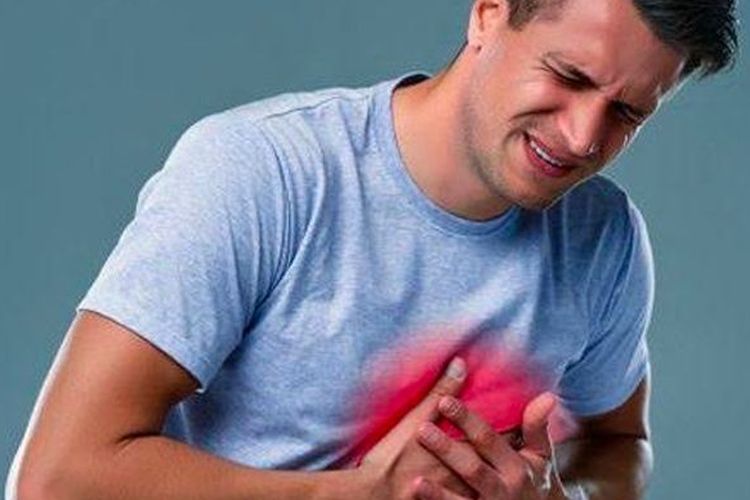 Kata dr Zaidul Akbar Sekali Minum Ramuan Herbal Ini Plak di Jantung Seketika Rontok