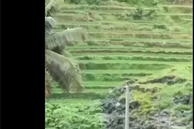 Mengerikan! Bencana Tanah Longsor Melanda di Salah Satu Desa Kabupaten Ponorogo