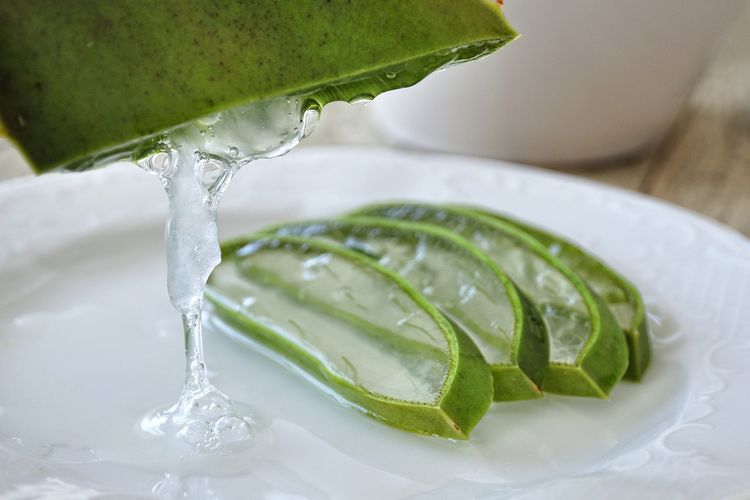 Wajah Glowing Dengan Lidah Buaya dan Bahan Satu Ini, Recomended Banget Buat Semua Kalangan!