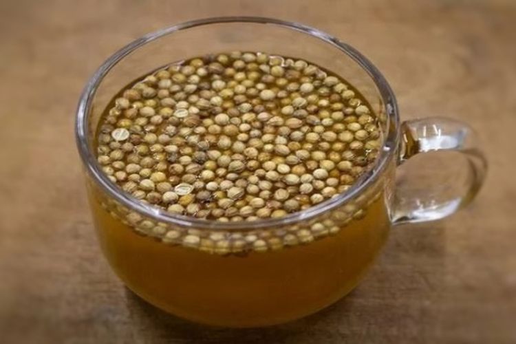 Khasiat Biji Dan Daun Ketumbar! Turunkan Kadar Gula Berlebih pada Penderita Diabetes: Begini Cara Mengolahnya