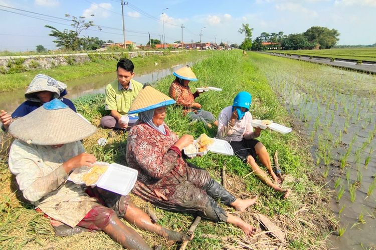 Sejarah Hari Krida Pertanian yang Diperingati 21 Juni 2023: Pentingnya Peran Petani di Indonesia
