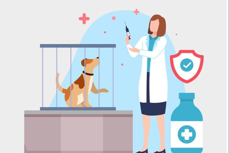 Hati-Hati! Yuk Kenali Gejala Rabies dan Cara Menanganinya Demi Kesehatan Diri Sendiri