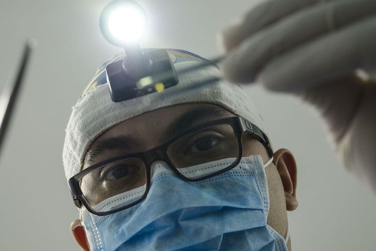 Cara Penanganan yang Tepat Usai Digigit Hewan Rabies Agar Tidak Meninggal,  Berikut Tahapannya