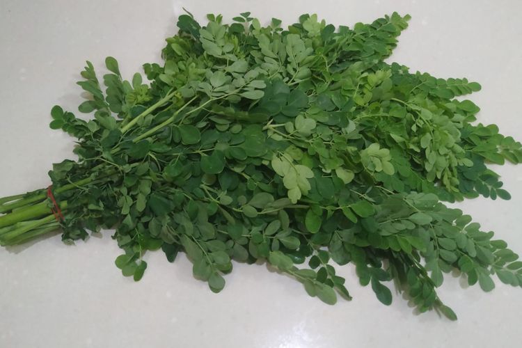 Khasiat Daun Kelor Bagi Kesehatan, Tak Hanya Bisa Tangkal Santet tapi Juga Penyakit Kronis