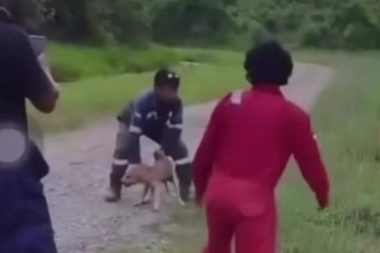 Viral! Dua Karyawan BUMN Lempar Anjing Hidup ke Sarang Buaya, Erick Thohir Angkat Bicara