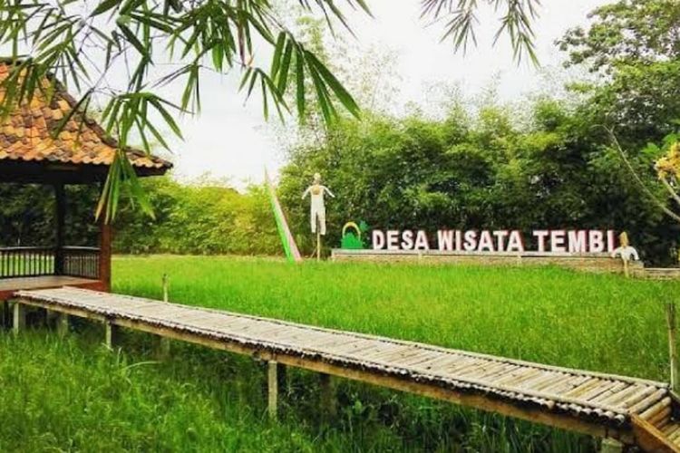 6 Desa Wisata Yang Unik di Yogyakarta, Nomor 4 Menghasilkan 1000 Ton Teh Per Tahunnya Lho!