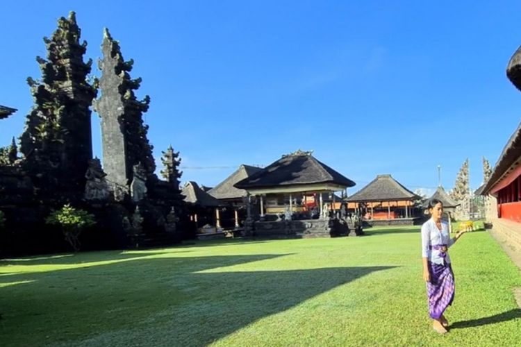 Lokasinya 22 Km dari Denpasar, Desa Unik di Bali Ini Menawarkan Pengunjung untuk Naik Gajah, Ingin Coba?