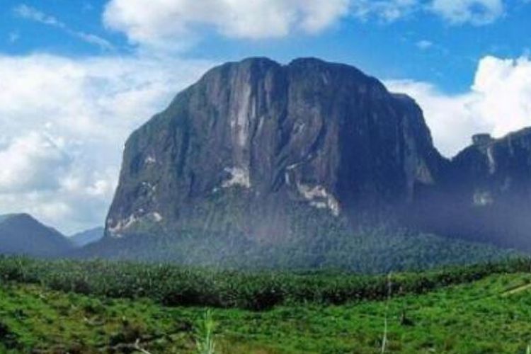 Bukit Batu Mirip Unta di Kalimantan Barat Ini Kabarnya Bisa Berubah-ubah Bentuk, Benarkah?