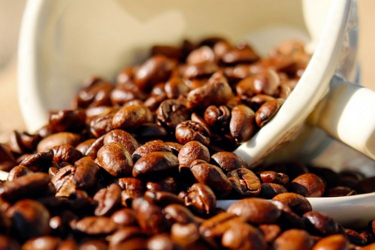 Cuma 3 Jam dari Medan, Kota di Sumatera Utara Ini Hasilkan Kopi Terbaik se Indonesia, Rasanya Bak Kopi Brazil!