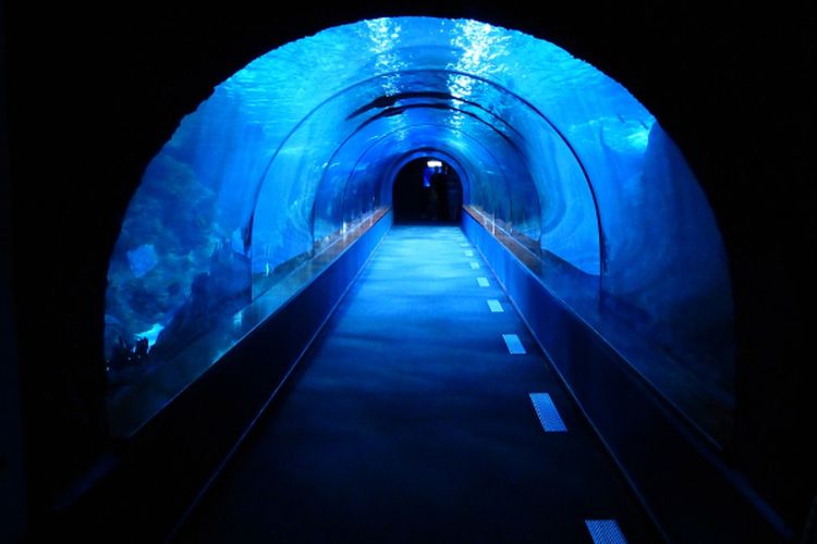 Bakal Bikin Jembatan dengan Terowongan Terpanjang se-Sumatera Selatan, Palembang Terima Dana 5 T dari China?