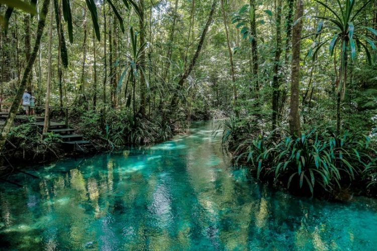 Cuma 1 Jam dari Raja Ampat, Sungai di Papua Barat Ini Punya Warna Sebiru Kristal