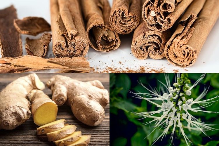 Diabetes Melitus Tak Kunjung Sembuh? Rutinkan Minum Ramuan Herbal Ini Selama 7 Hari, Efeknya Langsung Terasa