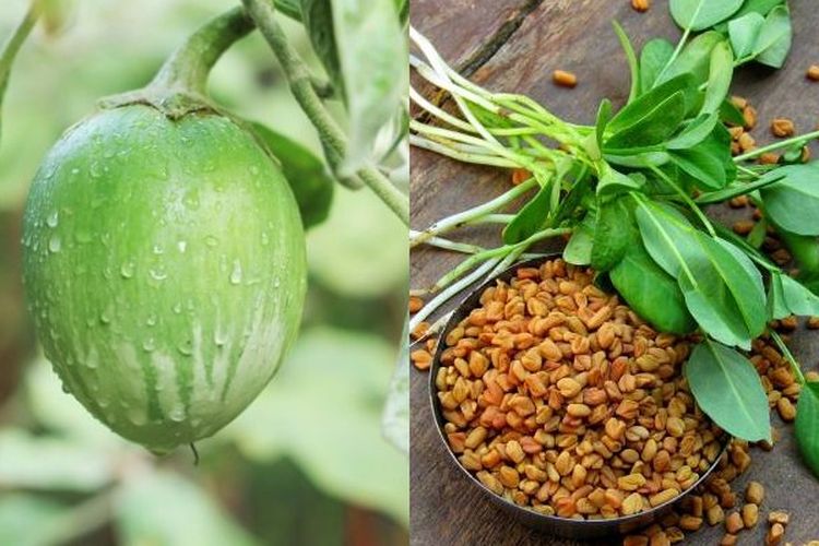 Terbukti Ampuh! Ini Tips Mengobati Diabetes Melitus Secara Alami, Kadar Gula Darah Menurun Dalam Seminggu