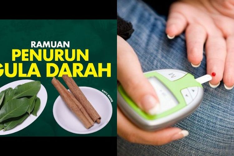 Ini Obat Alami untuk Atasi Diabetes Melitus Tipe 2 dalam 7 Hari Hanya Pakai Ramuan Daun Salam dan Kayu Manis