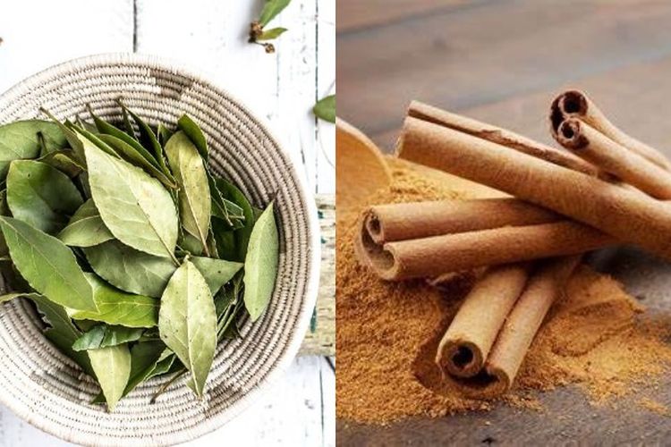 Diabetes Melitus Tipe 2 Sembuh Mendadak Karena Minum Ramuan Daun Salam dan Kayu Manis, Begini Cara Buatnya