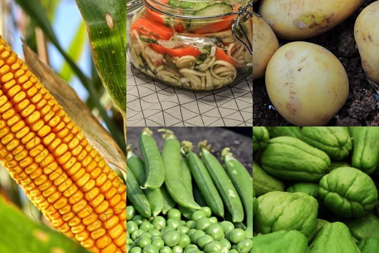 Inilah 5 Sayuran yang Dilarang Dikonsumsi Bagi Penderita Diabetes Melitus, Bisa Berakibat Komplikasi Lho!