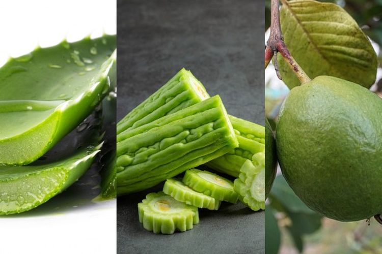 Siapa Sangka Ternyata 3 Tumbuhan Ini Bisa Sembuhkan Diabetes Melitus dengan Mudah, Buat Ramuannya Sekarang!