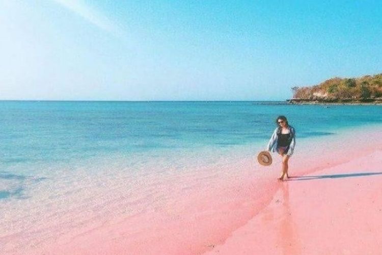 Pantai Kok Berwarna Pink? Yuk, Intip Cantiknya Pink Beach yang Terletak di Pulau Komodo Ini!