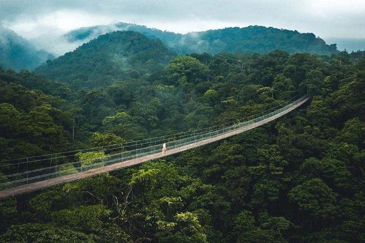 Habiskan 225 Triliun, Jembatan Termahal di Dunia Ini Akan Satukan Jawa-Sumatera Lewat Lampung