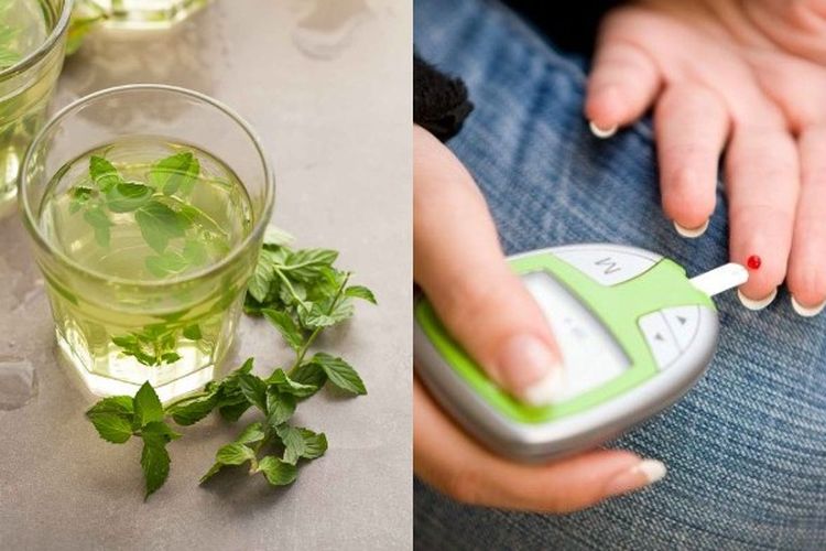 Manjur Banget Buat Penderita Diabetes Melitus, Minuman Daun Kelor Ini Bisa Cepat Turunkan Kadar Gula Darah!