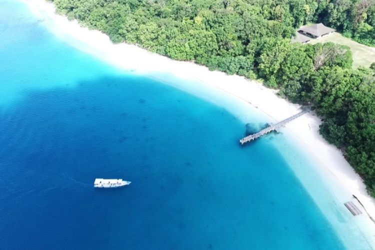 185 KM dari Jakarta, Pulau di Banten Ini Suguhkan Sensasi Hidup Bersama Satwa di Alam Liar