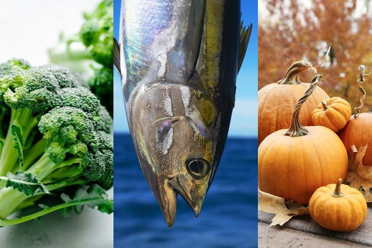 5 Makanan yang Cocok untuk Penderita Diabetes Melitus: Mulai dari Brokoli hingga Ikan Tuna!