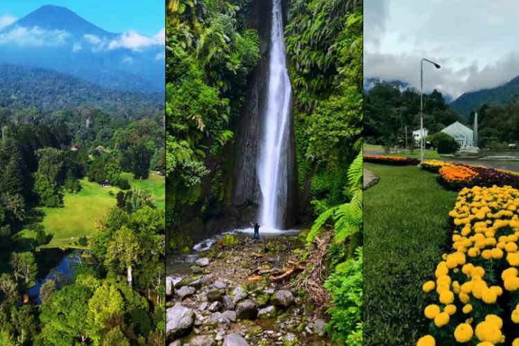 Kalahkan Kebun Raya Bogor? Pesona Alam Wisata Cibodas ini Luasnya 85 ha, Tempat Healing Favorit Keluarga